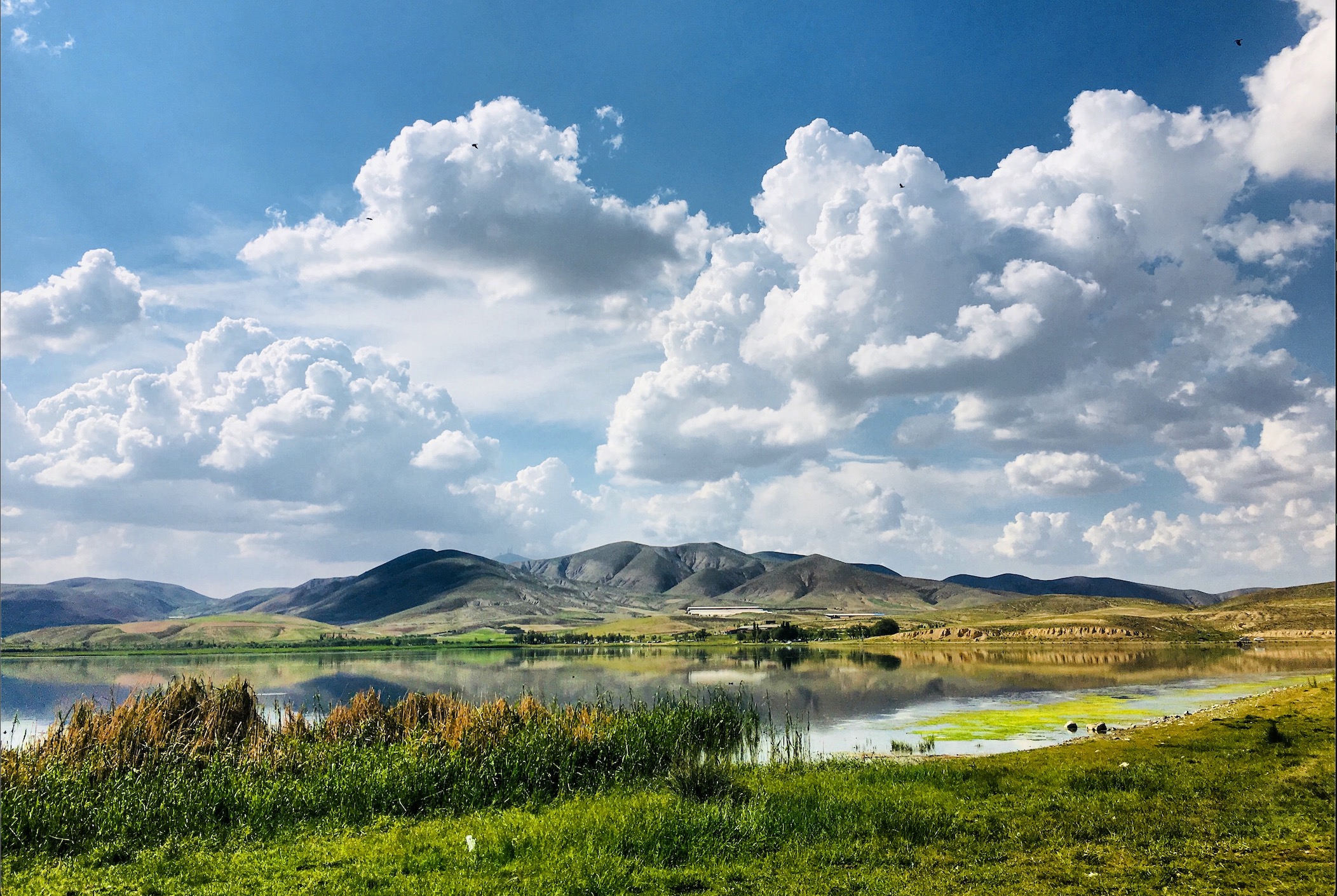 photo of mountain with lake and fluffy clouds